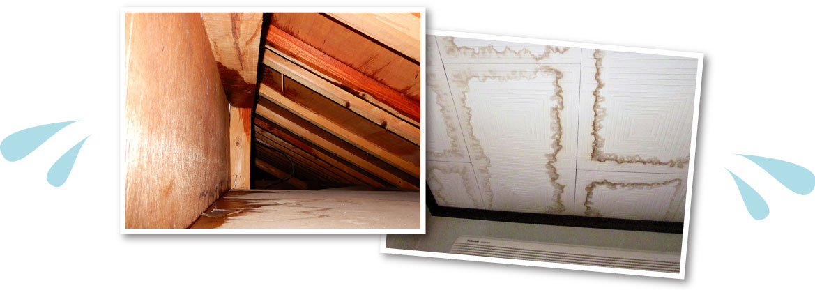 雨漏りは放置すると家	の大切な構造体(柱や梁など)が腐食します!!!