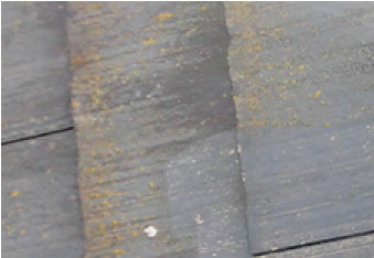 外壁･屋根のコケ･藻